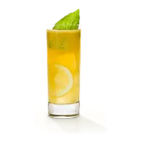 Limonada de Gengibre, Raiz & Folha