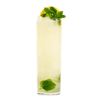Limonada de Gengibre, Jardim de Lótus