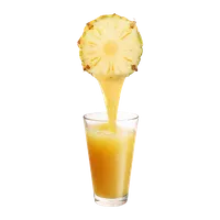 Suco de Abacaxi com Hortelã, Caldos do Jambu