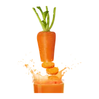 Suco de Cenoura com Laranja, Raiz & Folha