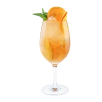 Suco de Laranja Espremido, Filtro Lento