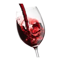 Vinho SemFood Tinto em Taça, Gnocchi della Fortuna